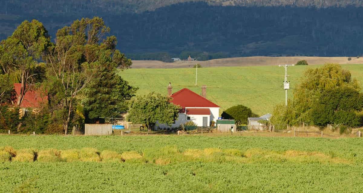 ITR 2023: Veja quem deve entregar, prazo e valor