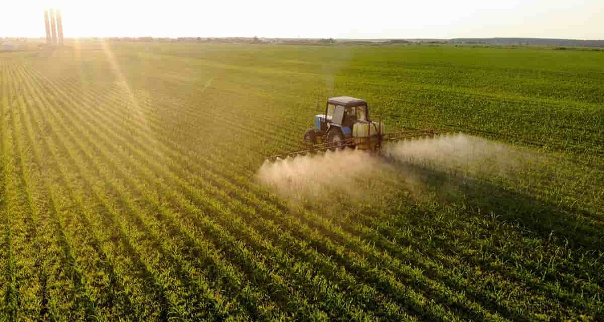 Inadimplência média entre produtores rurais é de 28%, segundo Serasa