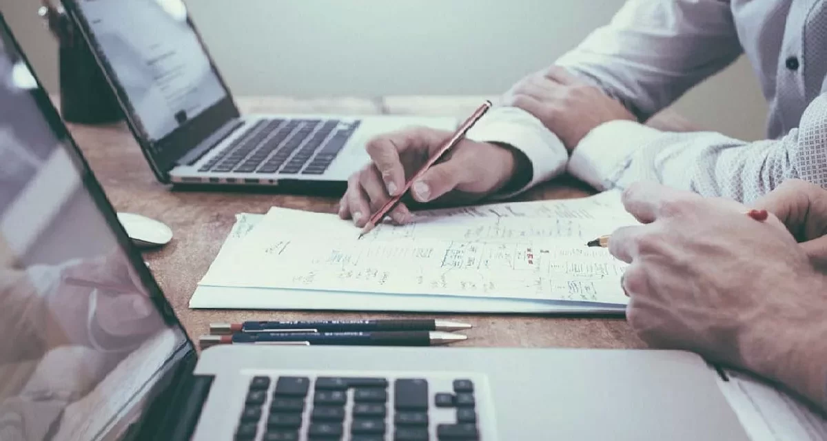 Segregação Contábil nas Cooperativas Agropecuárias