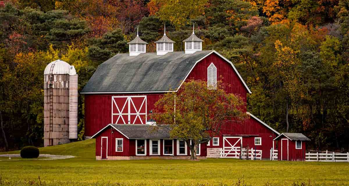 Receita recebeu mais de 5,8 milhões de declarações de ITR 2023