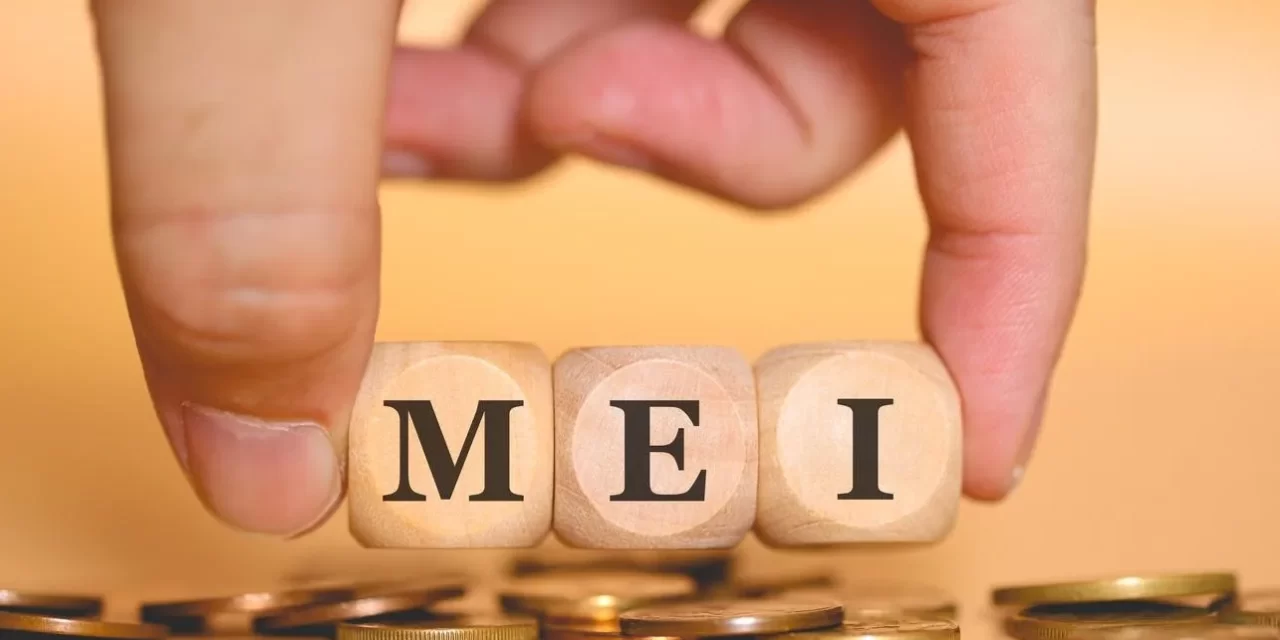 Declaração Anual do MEI: quando entregar e quais as regras?