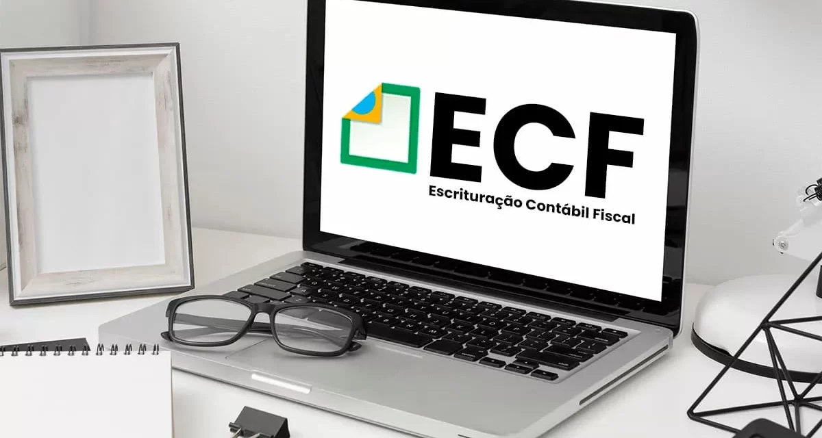 ECF 2024: erros a se evitar, prazo, quem deve enviar e multas